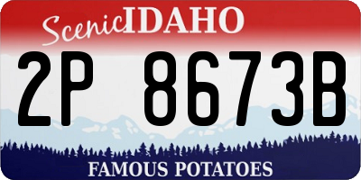 ID license plate 2P8673B
