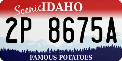 ID license plate 2P8675A