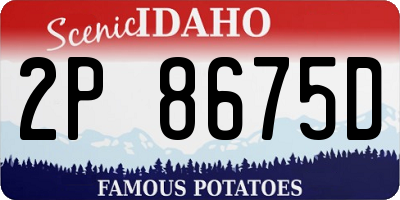 ID license plate 2P8675D