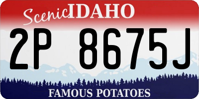ID license plate 2P8675J