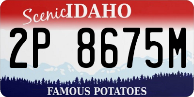 ID license plate 2P8675M