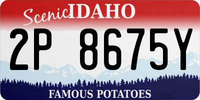 ID license plate 2P8675Y
