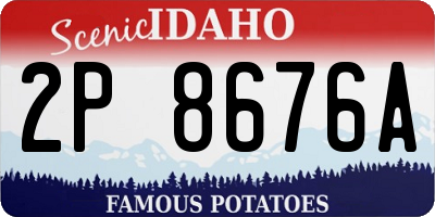 ID license plate 2P8676A