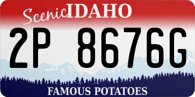 ID license plate 2P8676G