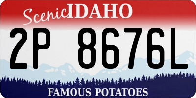 ID license plate 2P8676L