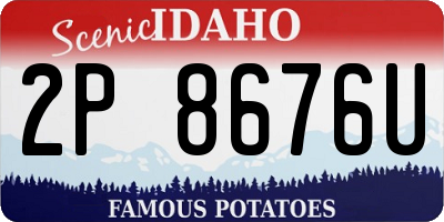 ID license plate 2P8676U