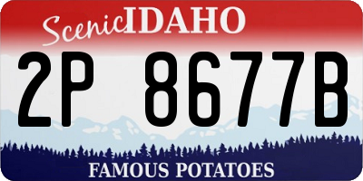 ID license plate 2P8677B
