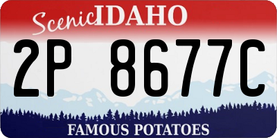 ID license plate 2P8677C