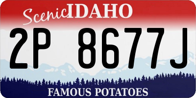 ID license plate 2P8677J