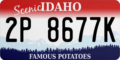 ID license plate 2P8677K