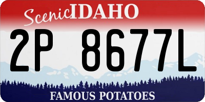 ID license plate 2P8677L