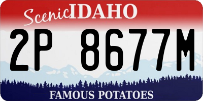 ID license plate 2P8677M