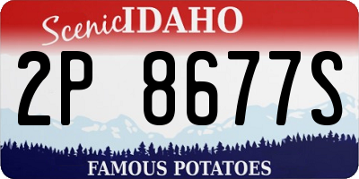 ID license plate 2P8677S