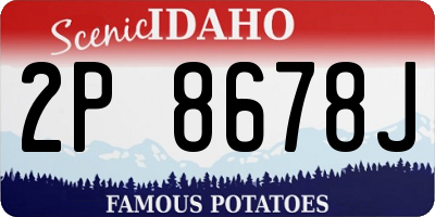 ID license plate 2P8678J