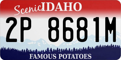 ID license plate 2P8681M
