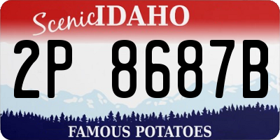 ID license plate 2P8687B
