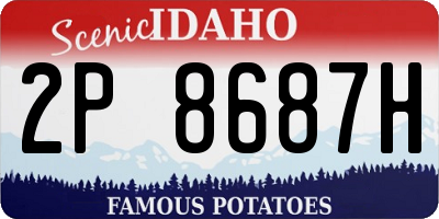 ID license plate 2P8687H