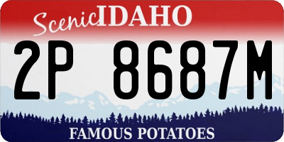 ID license plate 2P8687M
