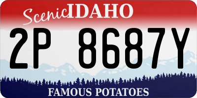 ID license plate 2P8687Y