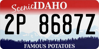 ID license plate 2P8687Z