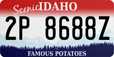 ID license plate 2P8688Z