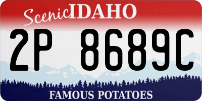 ID license plate 2P8689C