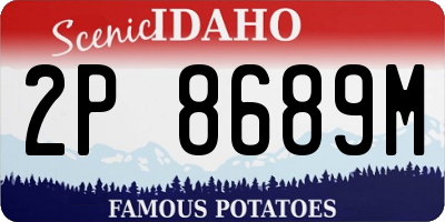 ID license plate 2P8689M