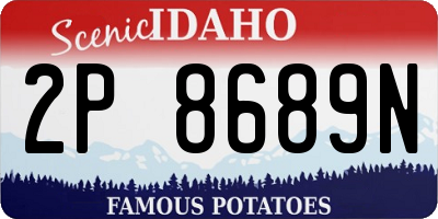 ID license plate 2P8689N