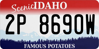 ID license plate 2P8690W