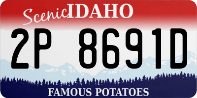ID license plate 2P8691D