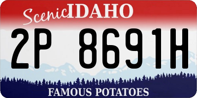 ID license plate 2P8691H