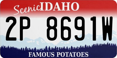 ID license plate 2P8691W