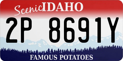 ID license plate 2P8691Y