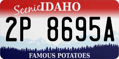 ID license plate 2P8695A