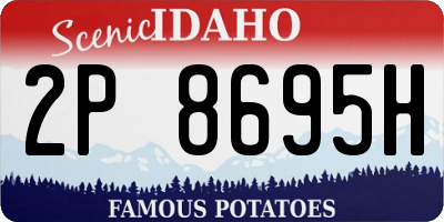 ID license plate 2P8695H