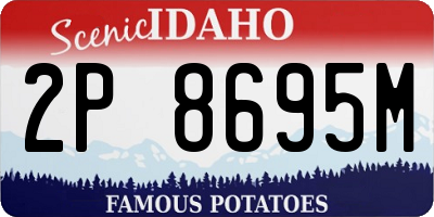 ID license plate 2P8695M