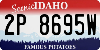 ID license plate 2P8695W