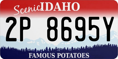 ID license plate 2P8695Y