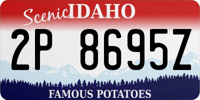 ID license plate 2P8695Z