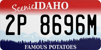 ID license plate 2P8696M