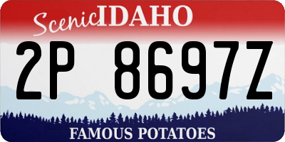 ID license plate 2P8697Z
