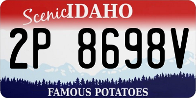 ID license plate 2P8698V