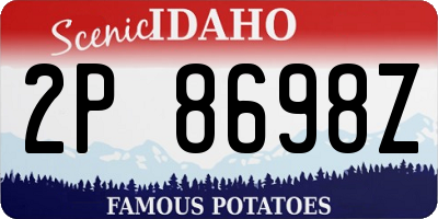 ID license plate 2P8698Z