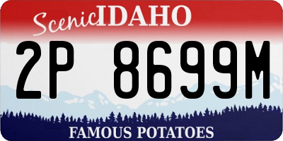 ID license plate 2P8699M