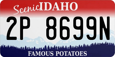 ID license plate 2P8699N