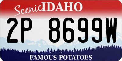 ID license plate 2P8699W