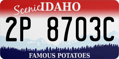 ID license plate 2P8703C