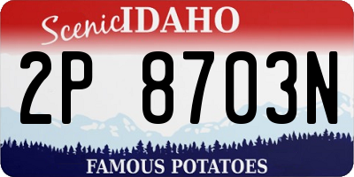 ID license plate 2P8703N