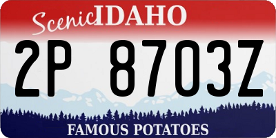 ID license plate 2P8703Z