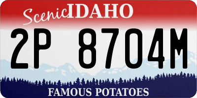ID license plate 2P8704M